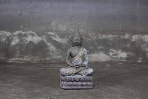 Sitting Buddha folded hands
