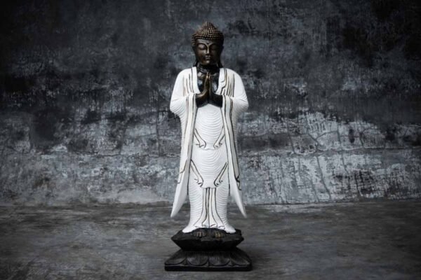standing Buddha praying