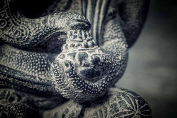 Ganesha details hand