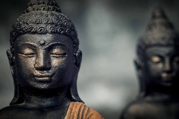 Sitting Buddha folded hands details head