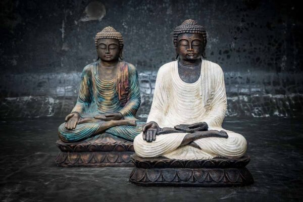 Sitting Buddha open hands on knee total view multi