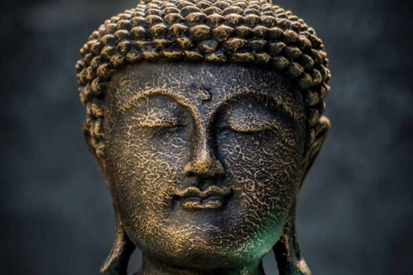 Meditating buddha details head