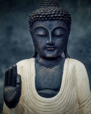standing buddha hands up details