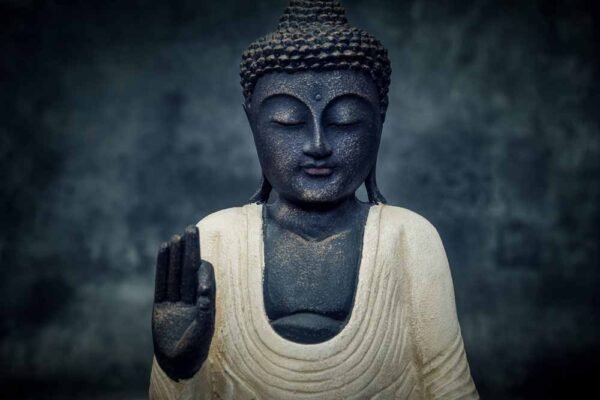 standing buddha hands up details
